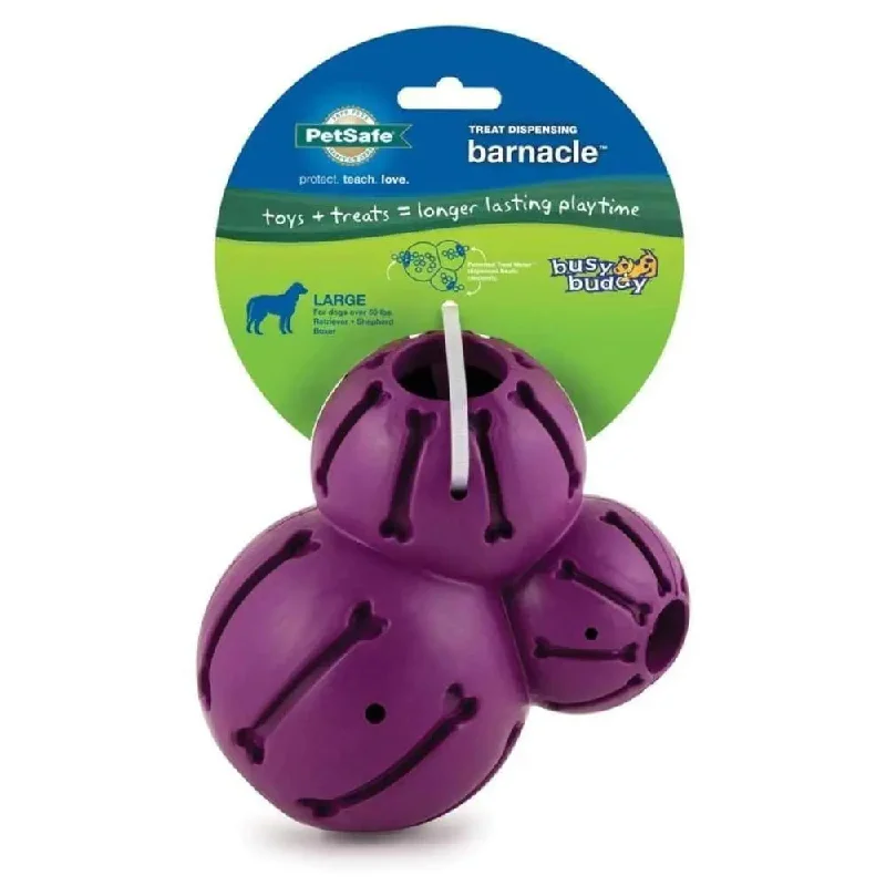 hamster cage with deep base Busy Buddy Barnacle Dog Toy Purple