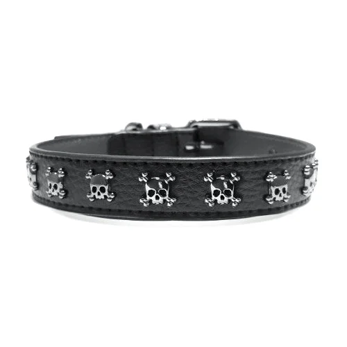 best birdseed for finches Calavera Skull Dog Collar