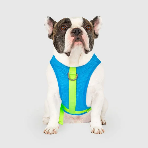 best bird cage covers for sleeping Canada Pooch Cooling Harness For Dogs