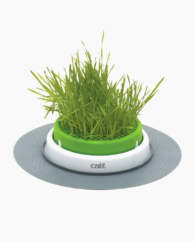lightweight dog backpack for hiking Catit Senses Grass Planter