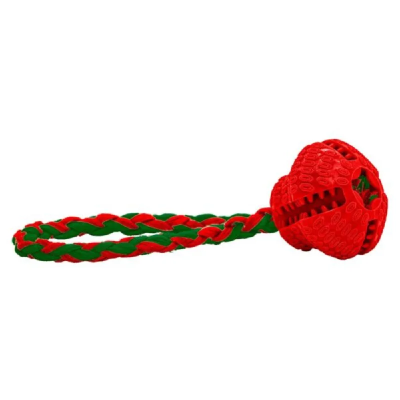 aquarium water chiller mini Christmas - TPR Treat Bell & Rope - Dog Toy