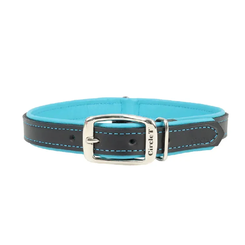 Black & Teal
