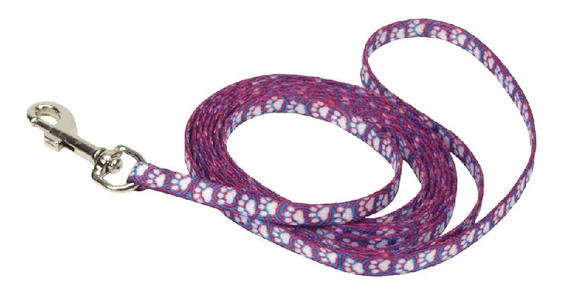 aquarium CO2 diffuser glass Lil Pals Patterned Dog Leash with E-Z Snap Light Blue 1ea/3/8 In X 6 ft aquarium CO2 diffuser glass Lil Pals Patterned Dog Leash with E-Z Snap Light Blue 1ea/3/8 In X 6 ft