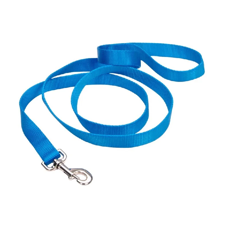 non-slip reptile climbing branch Coastal Nylon Blue Dog Leash
