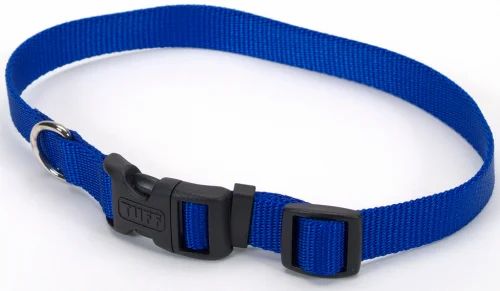 collapsible pet travel bowl silicone Coastal Pet Pet Products Tuff Buckle Adjustable Nylon Small and Medium Dog Collar collapsible pet travel bowl silicone Coastal Pet Pet Products Tuff Buckle Adjustable Nylon Small and Medium Dog Collar