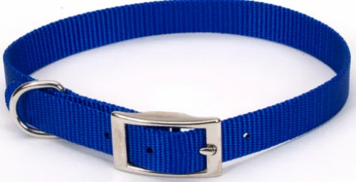 cat litter box self-cleaning Coastal Pet Products Standard Nylon Small Dog Collar