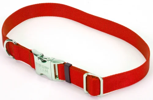 kitten milk replacement powder Coastal Pet Products Titan Metal Buckle Adjustable Nylon Medium Dog Collar kitten milk replacement powder Coastal Pet Products Titan Metal Buckle Adjustable Nylon Medium Dog Collar