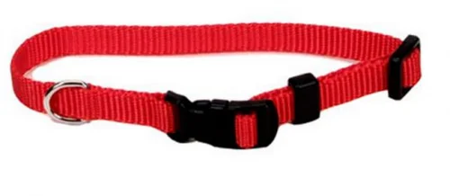 reptile terrarium decorations natural Coastal Pet Products Tuff Buckle Adjustable Nylon Large Dog Collar