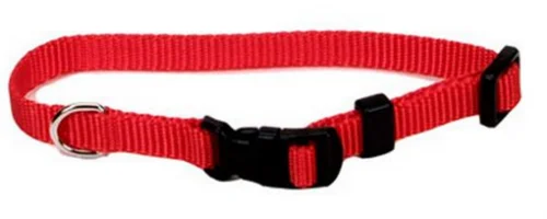 indestructible chew toys for aggressive dogs Coastal Pet Products Tuff Buckle Adjustable Nylon Small Dog Collar indestructible chew toys for aggressive dogs Coastal Pet Products Tuff Buckle Adjustable Nylon Small Dog Collar