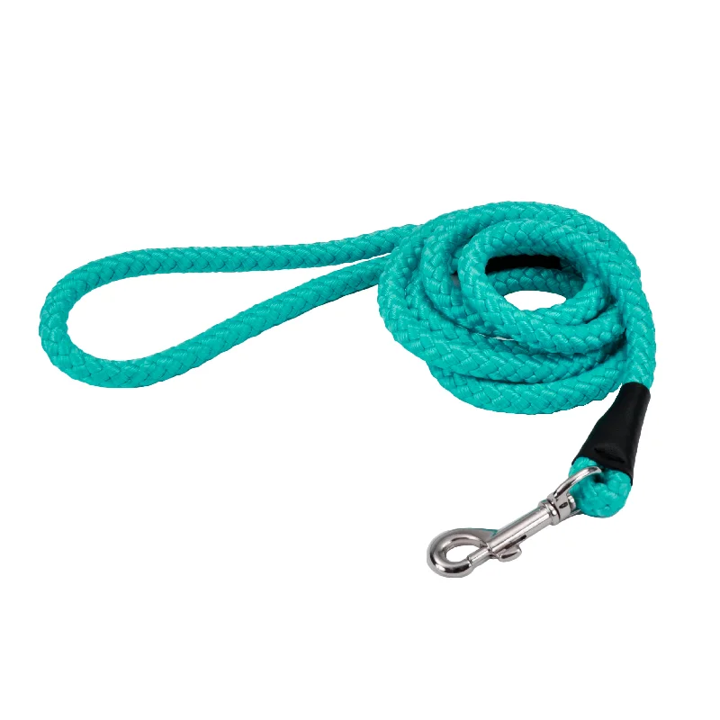 extra-wide retractable pet gate Coastal Rope Dog Leash, Teal 6 Foot