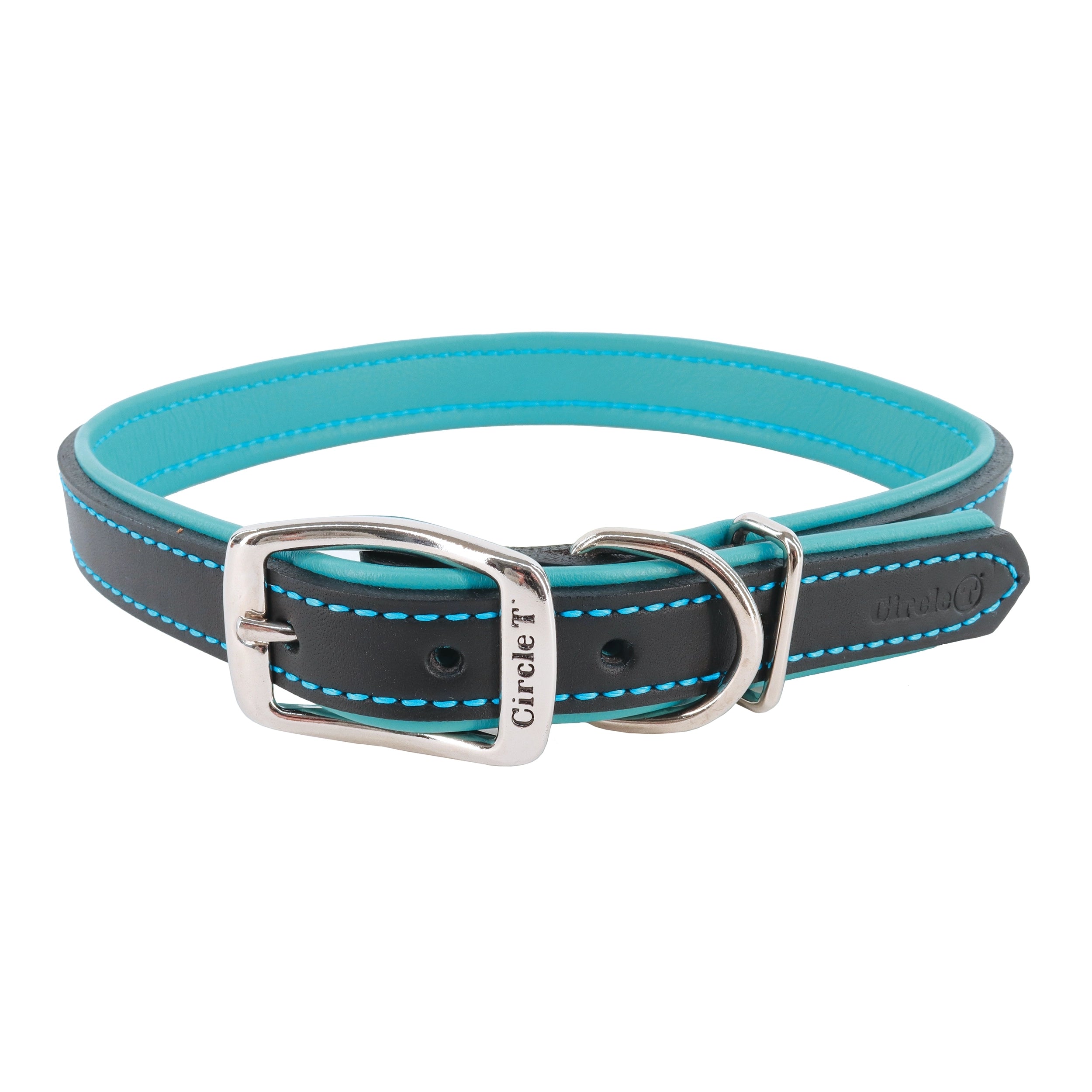 bird perches natural wood Circle T Layered Fashion Leather Dog Collar, Black & Teal bird perches natural wood Circle T Layered Fashion Leather Dog Collar, Black & Teal