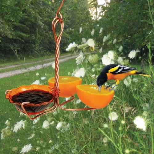 bird perches natural wood Copper Oriole Fruit & Jelly Feeder