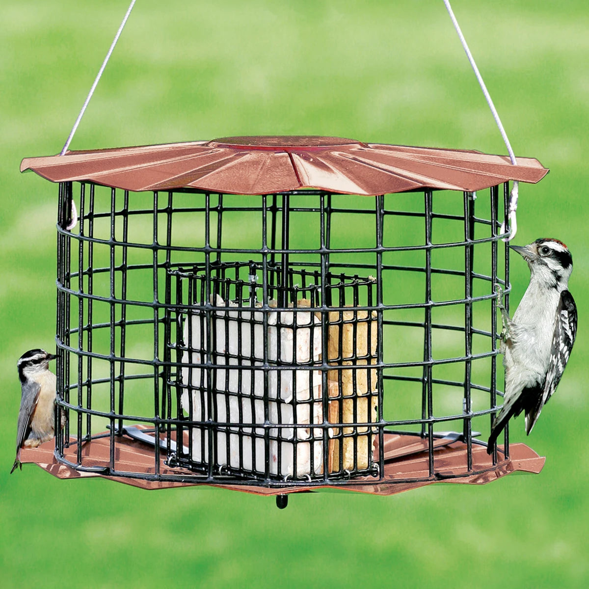rabbit toys chew safe Copper Squirrel Proof Suet Feeder
