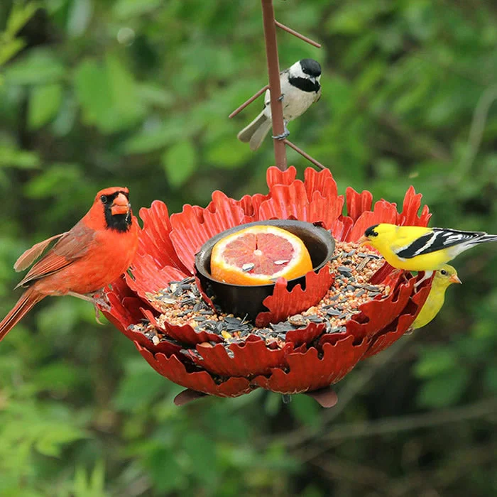 dog nail trimmer safety guard Coral Sunset Peony Bird Feeder