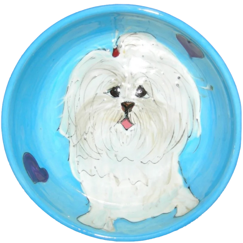 best bird playground with ladder Coton de Tulear | Dog Bowl