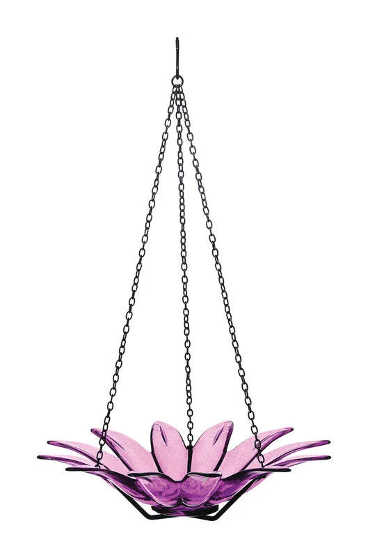 soft sided pet carrier airline approved Couronne Fuchsia Wild Bird 16.9 oz. Glass Hanging Bowl Bird Feeder 1 ports soft sided pet carrier airline approved Couronne Fuchsia Wild Bird 16.9 oz. Glass Hanging Bowl Bird Feeder 1 ports
