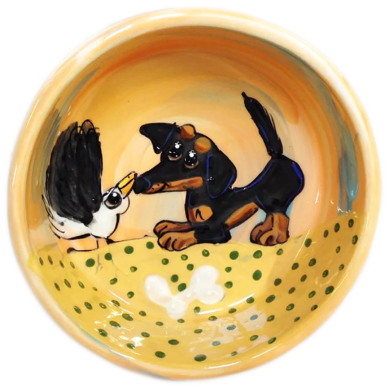 automatic cat food dispenser Dachshund Dog Bowl