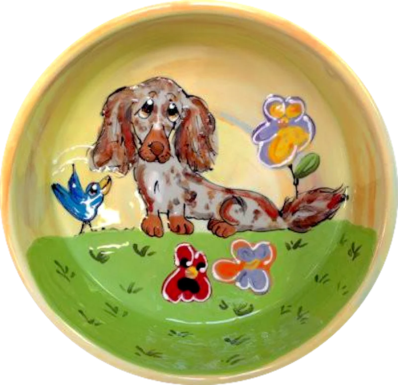 hamster exercise ball clear Dachshund Dog Bowl