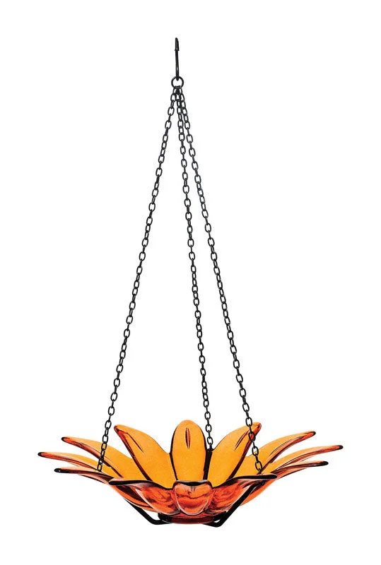 dog training clicker ergonomic Daisy Bird Feeder Glass