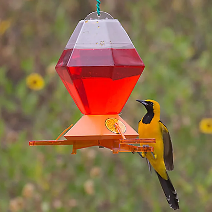 chew-resistant dog harness escape-proof Deluxe Oriole Nectar Feeder