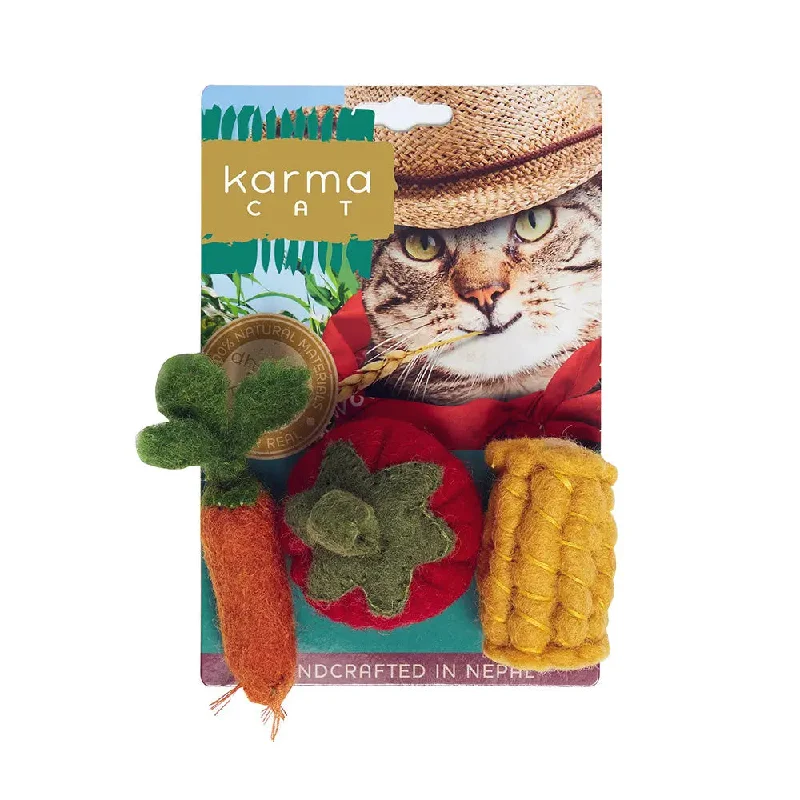 best parrot chew toys for beak health Dharma Dog Karma Cat Veggies Wool Cat Toys, Pack of 3 Assorted Toys