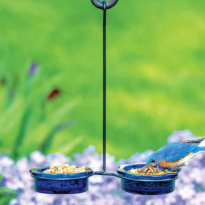 waterproof dog booties anti-slip Double Dish Bluebird Feeder