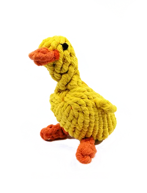 outdoor bird feeder squirrel-proof Duck