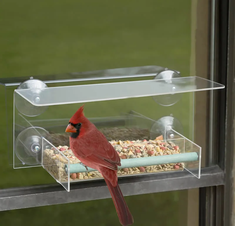 hamster cage tubes transparent Duncraft Bird-Safe® Window Wonder Feeder