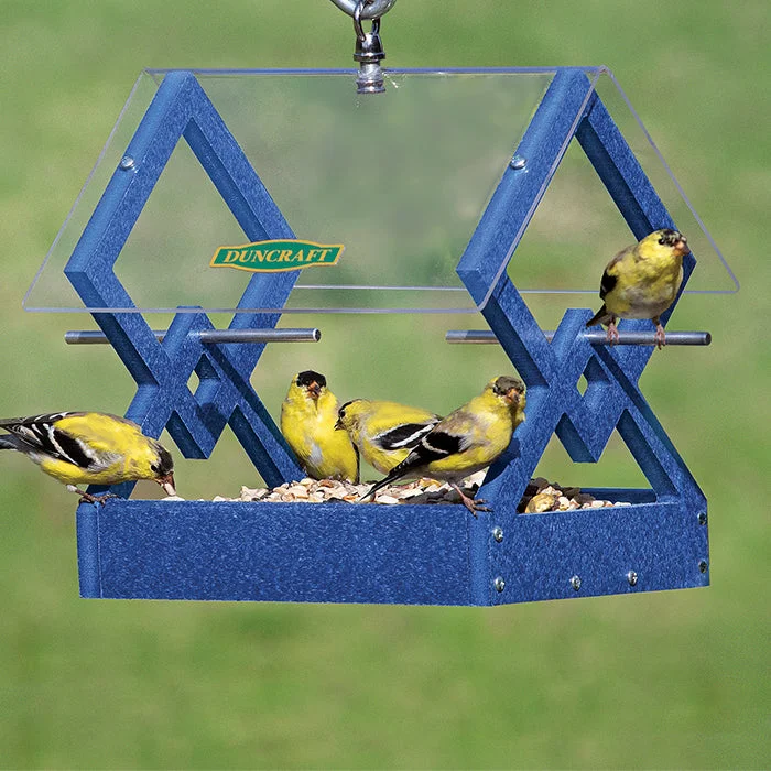 hamster wheel silent running Duncraft Blue Diamond Hanging Feeder