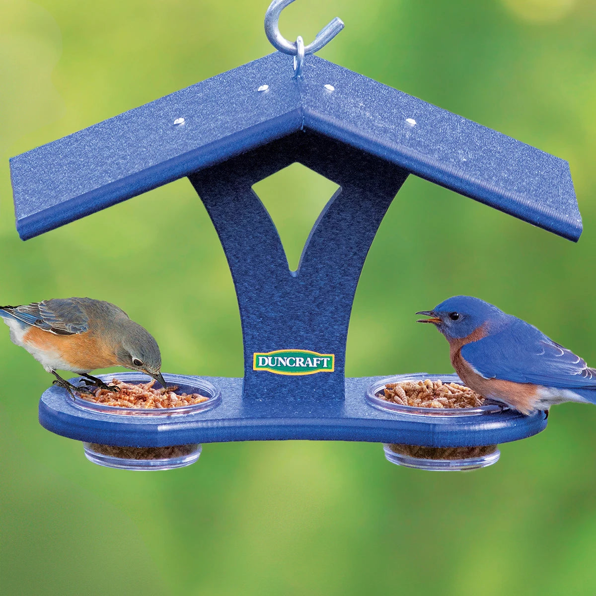 pet odor eliminator natural Duncraft Bluebird Mealworm Banquet