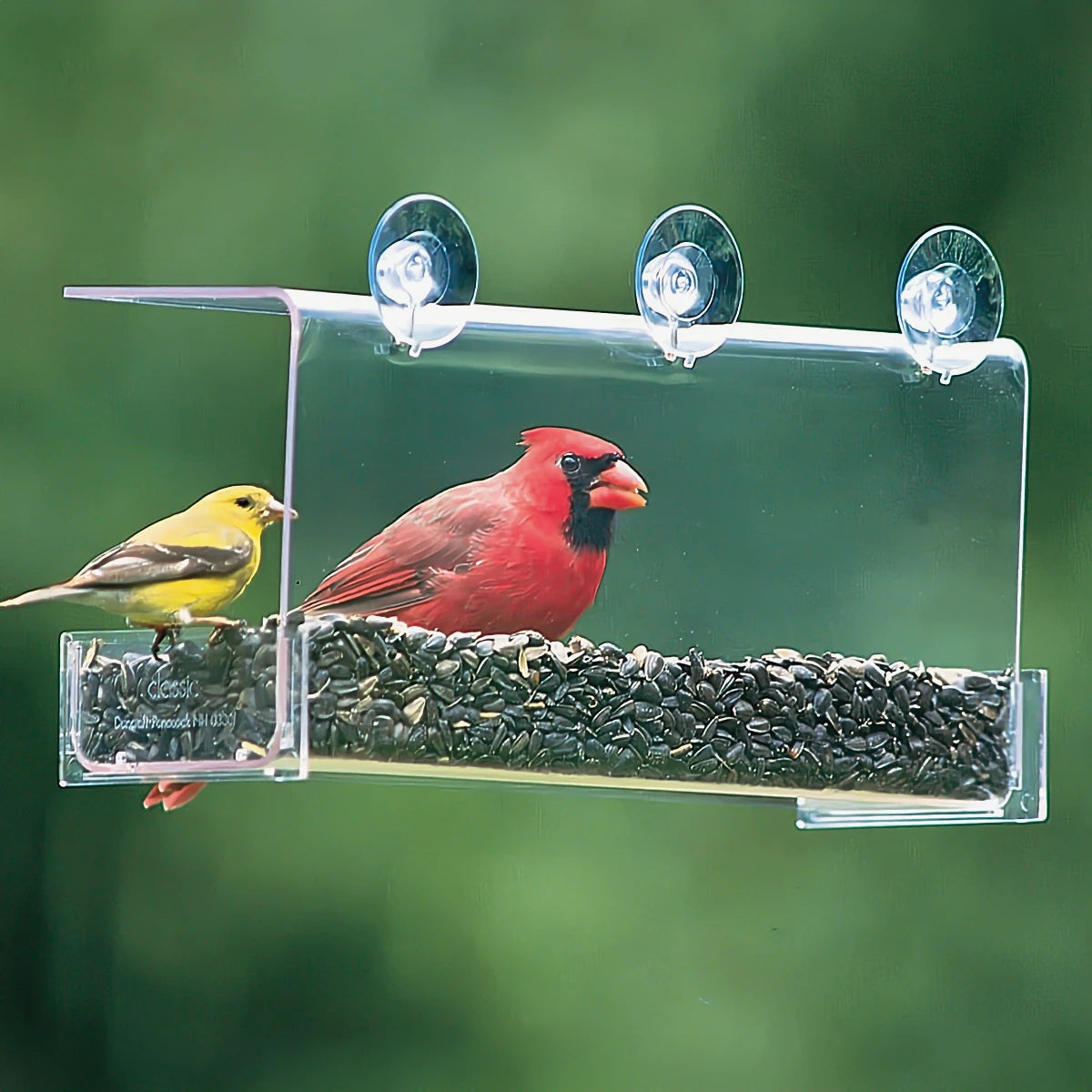 dog treat pouch with belt clip Duncraft Cardinal Classic Window Feeder