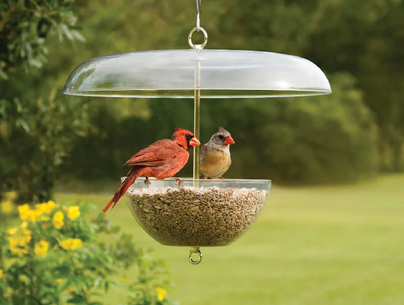 best dry food for indoor cats Duncraft Cardinal Feeder