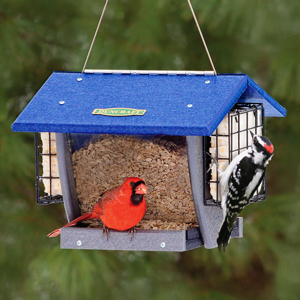 self-warming cat mat cozy Duncraft Cardinal Shield Hopper & Suet Feeder