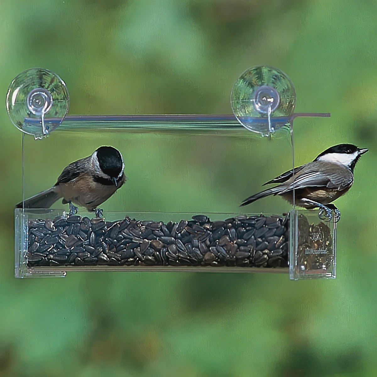 chew-resistant fish tank tubing Duncraft Classic Window Feeder
