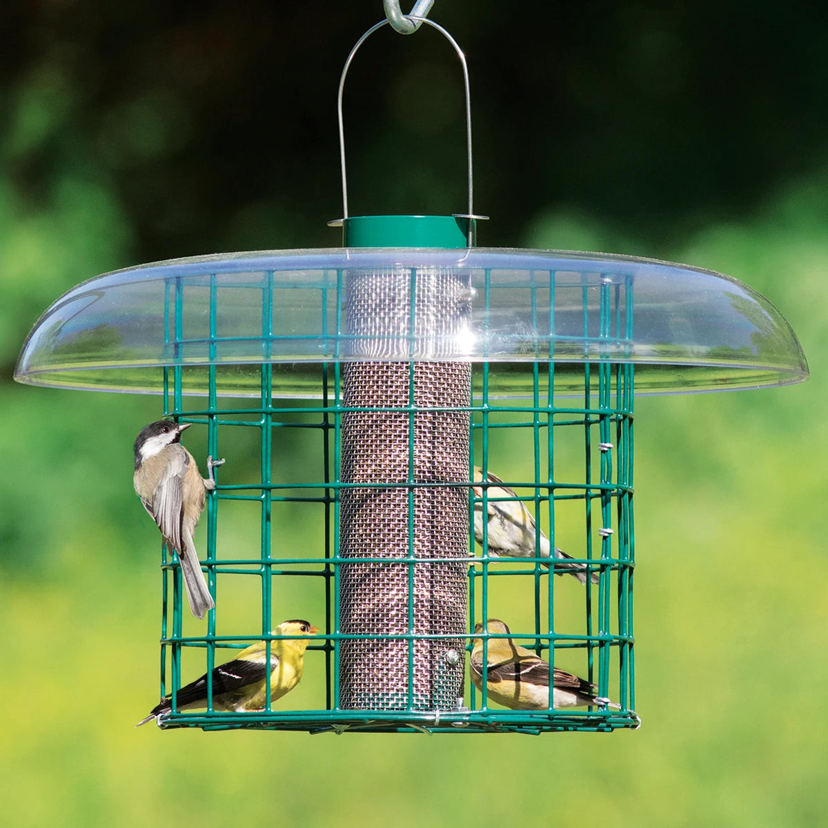 bird bath hanging outdoor Duncraft Nyjer® Selective Haven