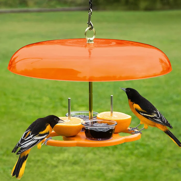 automatic fish feeder vacation Duncraft Oriole Fruit Feeder Plus