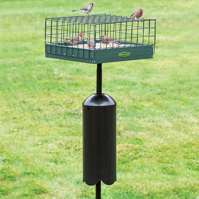 reptile misting system automatic Duncraft Post Platform Haven Feeder