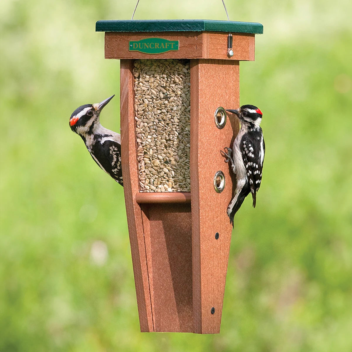 best dog joint supplement glucosamine Eco-Strong Woodpecker Feeder