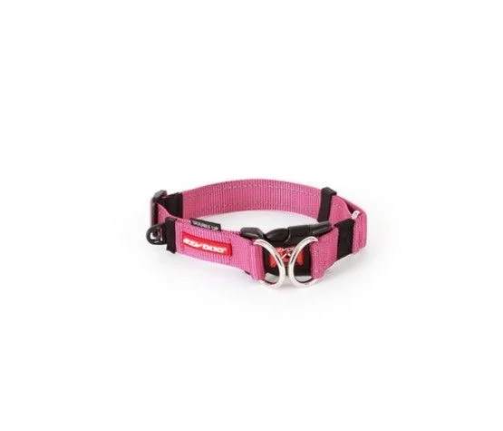 premium puppy training treats EZYDog Double Up Collar Pink