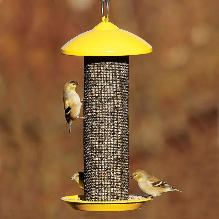 no-shock bark collar for small dogs Finch Screen Feeder