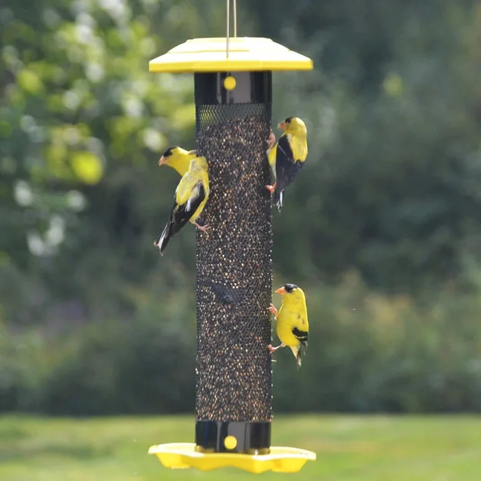 best natural treats for birds Funnel Flip-Top Mesh Finch Feeder