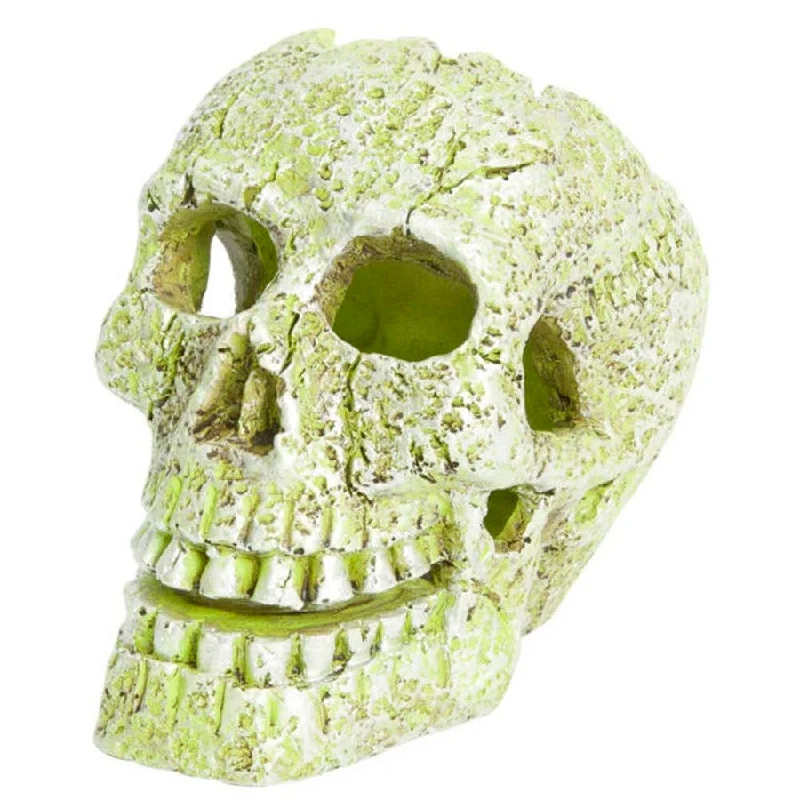 bird feeder pole squirrel-proof GloFish Skull Aquarium Ornament Yellow, 1ea/3.5 in