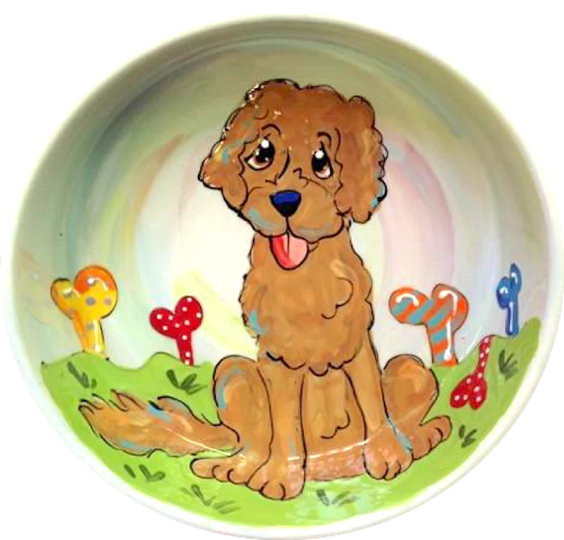 best hamster travel cage lightweight Golden Doodle Dog Bowl