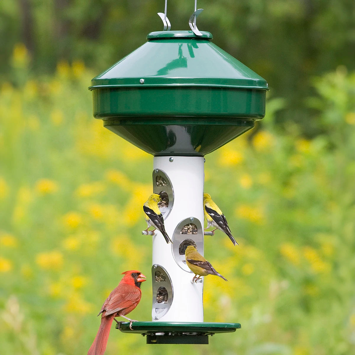 pet-friendly insect repellent for dogs Heavy-Duty Bird Feeder