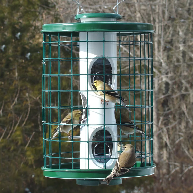 best bird cage covers for sleeping Heavy-Duty Mixed Seed