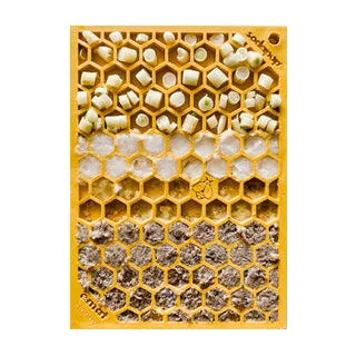 chew-resistant dog leash for strong pullers Honeycomb Dog Enrichment Lick Mat