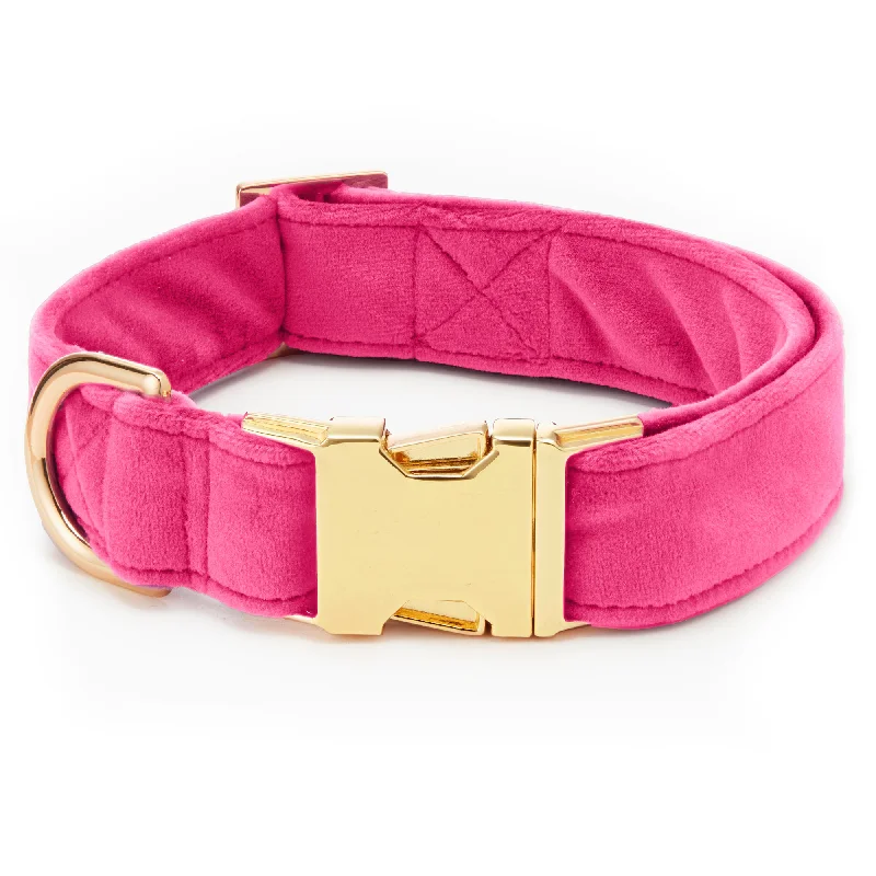 snake terrarium heating pad Hot Pink Velvet Dog Collar