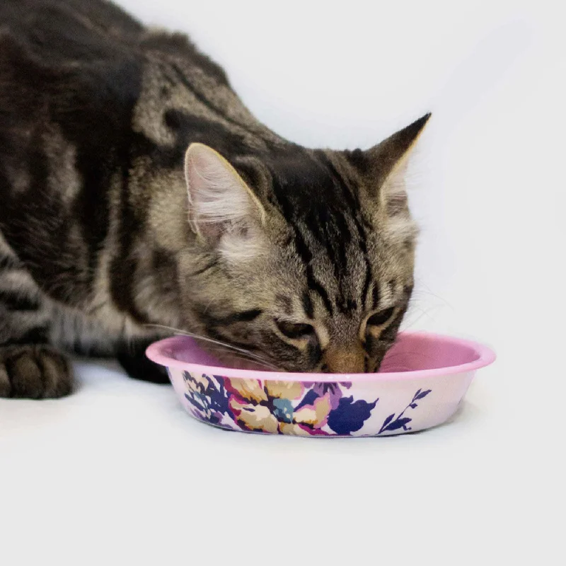 best bird bath heater for winter Joules Cambridge Floral Cat Bowl