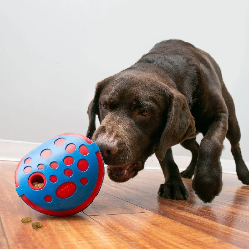 best reptile calcium supplement powder Kong Rewards Wally - Dog Treat Dispenser