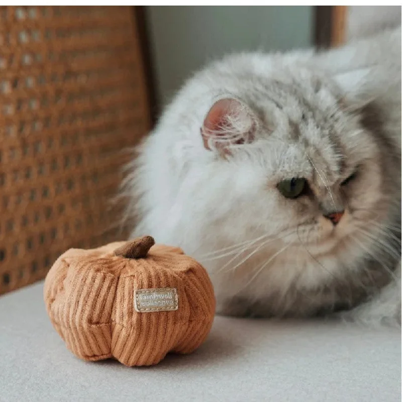 best ferret food high protein Kitty Cinderella Cat Toy